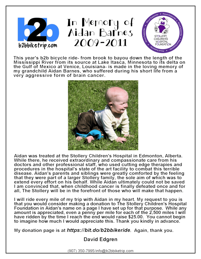 Aidan Fundraising Poster Draft for Review Revised