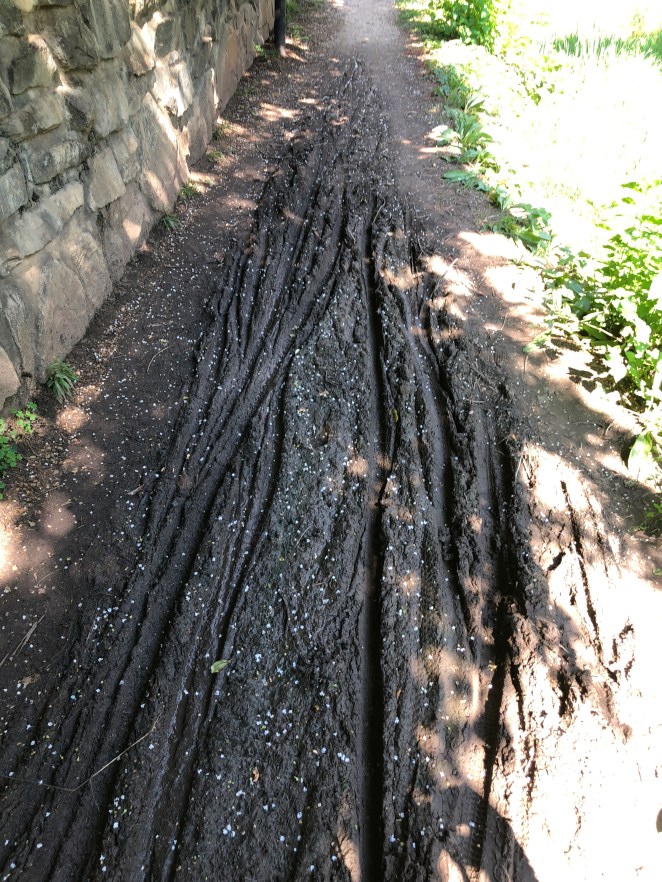 91A56752-CA95-4C6D-901A-127615691180